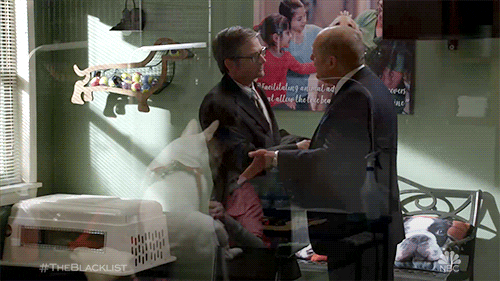 the blacklist GIF by NBC