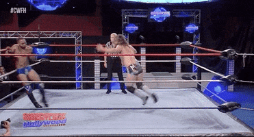 Hollywood Cwfh GIF by United Wrestling Network