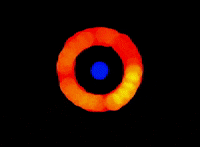 Burst Generator GIF by The Chemical Brothers