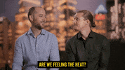 React Will GIF by Celebrity Apprentice Australia