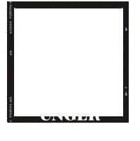 birthday celebrate Sticker by UNGER FASHION