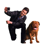 Turner And Hooch Sticker by Disney+