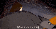 Cartoon Saloon Animation GIF by Wildcard Distribution