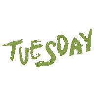 Frame Tuesday Sticker