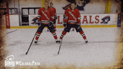 ice hockey fun GIF by Robert Morris University Athletics