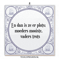 Humor Moment GIF by Tegelspreuken.nl