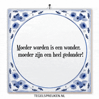 Wonder Nl GIF by Tegelspreuken.nl