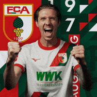 Football Celebration GIF by FC Augsburg 1907