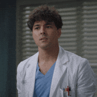 Greys Anatomy What GIF by ABC Network