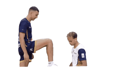 Volleyball Sticker by Reims Volley 51