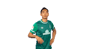 Park Sticker by SV Werder Bremen