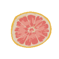 Art Flower Sticker by NickiP