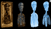 King Tut Halloween GIF by ElmonX