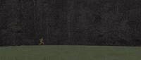 Run Running GIF by Lowland Hum
