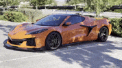 Corvette Z06 Chevrolet GIF by jesse_iwuji