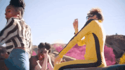 pynk GIF by Janelle Monáe