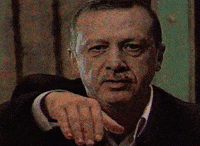 Kurtlar Vadisi Reis GIF