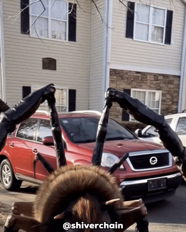 Look Seriously GIF