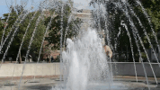 Happy University Of Dayton GIF by Dayton Flyers