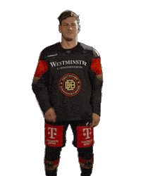 Be Quiet Ice Hockey Sticker by deb_teams