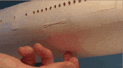 luca iaconi-stewart design GIF