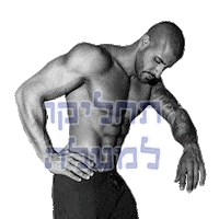 Abs Israel Sticker by tonyfit