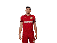 Bayer 04 Thumbs Up Sticker by Bayer 04 Leverkusen