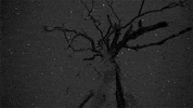 art GIF