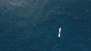 Water Ocean GIF by Ultra Records