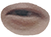 moztech moztech 墨子科技 墨子拼圖 Sticker