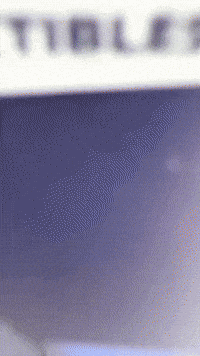 Plant GIF by Youtooz