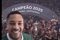 Palmeiras GIF