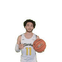 Mens Basketball Sticker by Clarke University