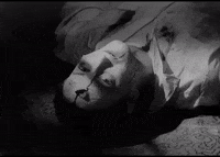night of the living dead horror GIF