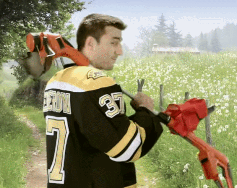 patrice bergeron GIF