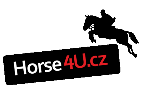 Horse4u giphyupload horse pferd horse4u Sticker