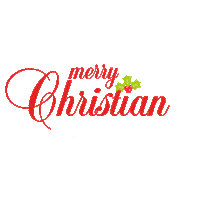 Merry Christmas Sticker by netflixit