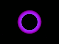 art yolo GIF by Bryan Unger