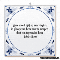 Humor Nl GIF by Tegelspreuken.nl