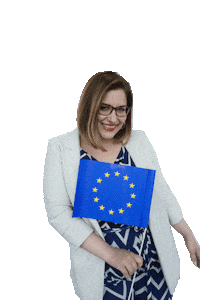 europe eu Sticker by Junge Liberale JuLis