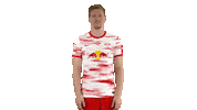 Läuft No Problem Sticker by RB Leipzig