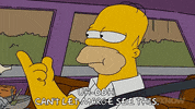 Season 19 Episode 10 GIF by The Simpsons