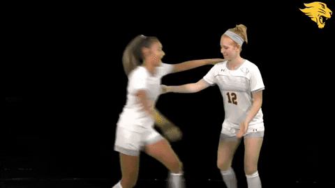 D3Soc Cuc19 GIF by CUCougars