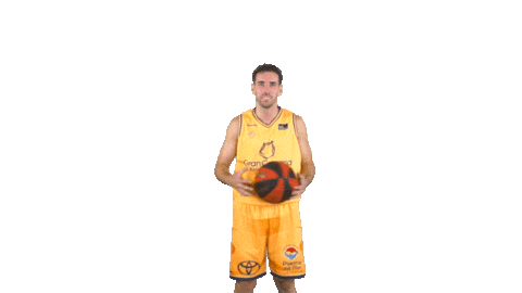 Liga Endesa Basketball Sticker by ACB