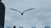 GIF by Sky