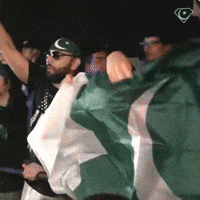 Flag Pakistan GIF