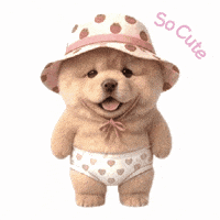 riro_chowchow かわいい 犬 いいね はっぴ GIF
