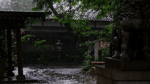 Rain Landscape GIF