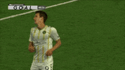 South Carolina Soccer GIF by Charleston Battery