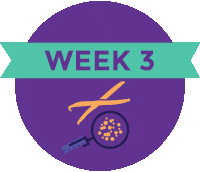 Pregnancy Baby Size Sticker by What to Expect